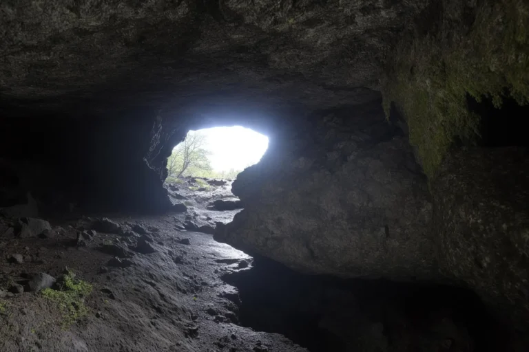 A view from inside a rocky cave looking out towards the entrance, created using Stable Diffusion AI.